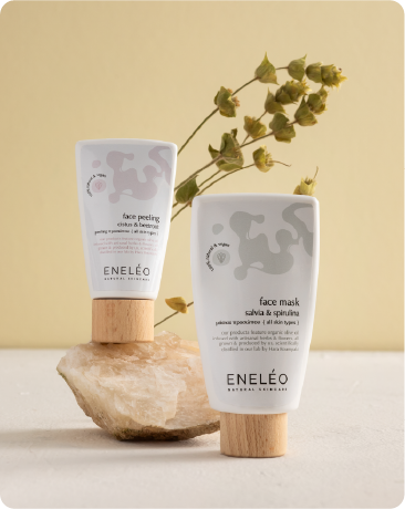 eneleo logo